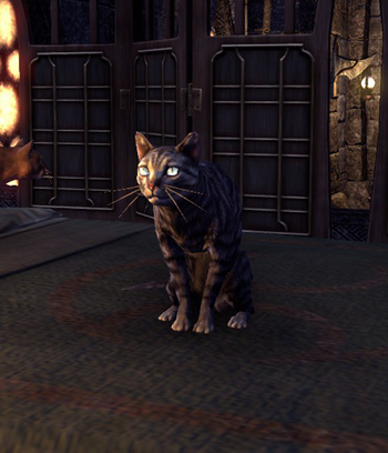 Sheogorath (Cat)