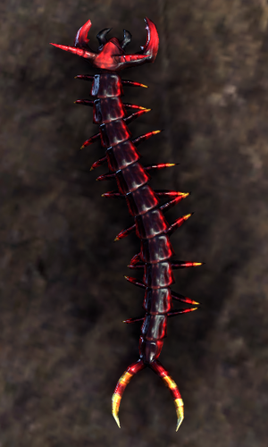 Centipede