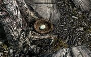 Skyrim brids nest