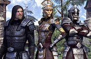 Armor of Imperial Battlemages, as seen from the Imperial Battlemage Pack for The Elder Scrolls Online.