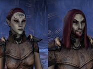 Dunmer masculino y femenino