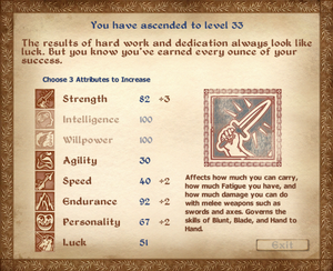 Level Up (Oblivion)