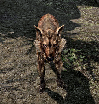 Alpha Wolf Skyrim