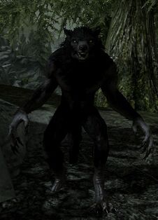 Werewolf (Skyrim)