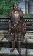 An Imperial Soldier, as seen in The Elder Scrolls IV: Oblivion.