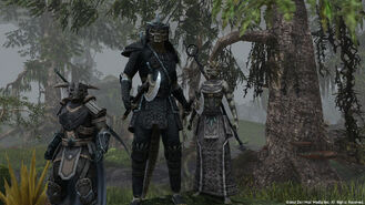 Teso-argonian-soldiers