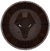 Kvatch Shield