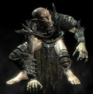 A present day Falmer.