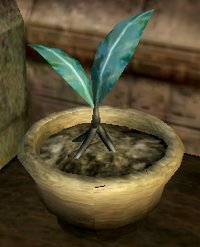 Nirnroot Potted (Oblivion)