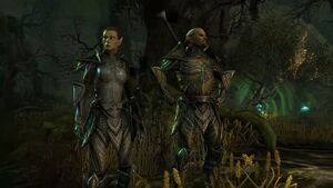 Twee Altmer in Online