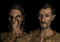 Bosmer (Skyrim)