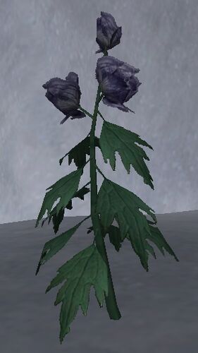 Wolfsbane Petals