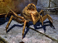 A Dwarven Spider.