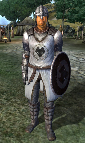 Kvatch Soldier