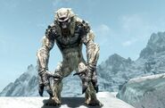 Frost Troll in the mountains of Skyrim.