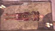 Nurnhilde's body as seen in the bridge to Sovngarde.