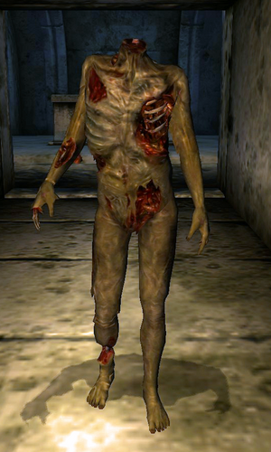 Headless Zombie