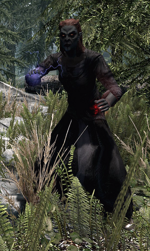 Volkihar Vampire