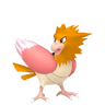 Spearow