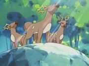 EP287 Stantler