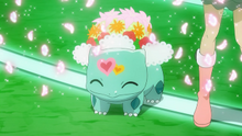 Bulbasaur de Shauna/Xana usando danza pétalo.