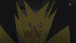 PO04 Zapdos