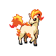 Ponyta DP