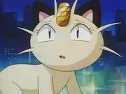 Meowth hembra con pestañas.