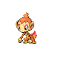 Chimchar Pt