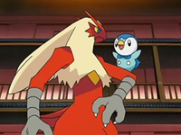 Blaziken junto al Piplup de Maya.