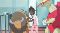 EP1011 Tauros