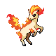 Ponyta Pt