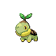 Turtwig Pt