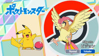 Pidgeotto