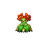 Bellossom NB