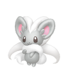 Cinccino