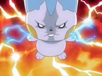 Pachirisu enfurecido.