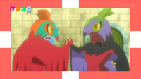 EP907 Hawlucha