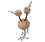 Doduo