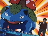 Imagen de Venusaur