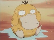 Imagen de Psyduck de Misty