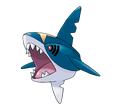 Sharpedo