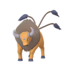 Tauros