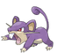 Rattata