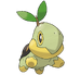 Turtwig