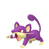 Rattata