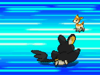 Emolga usando agilidad en Pokémon Negro y Pokémon Blanco.