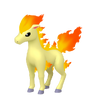 Ponyta