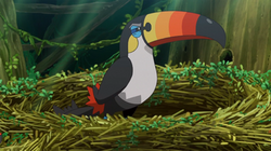 EP947 Toucannon