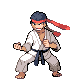 Karateka DP